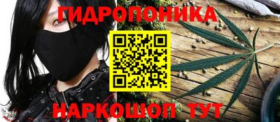 сатива Кулебаки