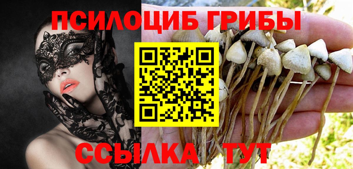 Галлюциногенные грибы GOLDEN TEACHER  Псилоцибиновые грибы Psilocybine cubensis  Вход с VPN  хочу наркоту  Губаха 