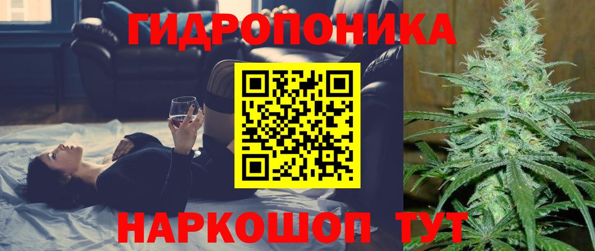 Каннабис семена Губаха